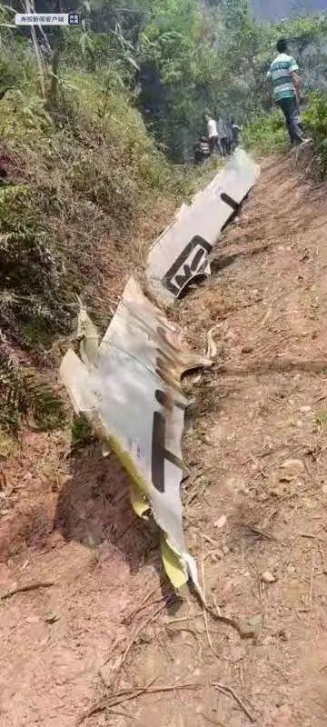 心痛！东航一架波音737飞机坠毁，广西保险业启动一级响应