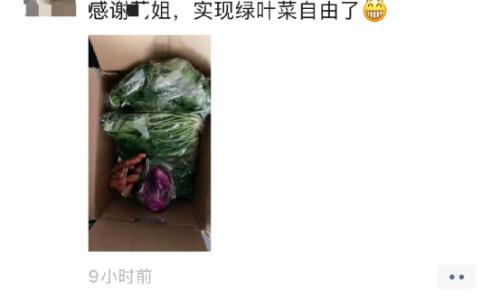 冲上热搜！上海一颗白菜77.9元？重罚50万！