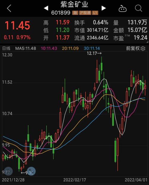 全球顶级主权基金出手，重金新进矿业龙头！社保、高毅资产齐加仓，QFII最新持仓揭秘，北上资金加仓11