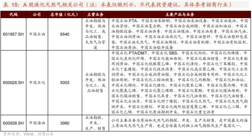 【招商策略】我国上游资源哪些被“卡了脖子”——中国供应链安全系列报告（一）