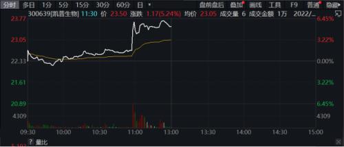 7连板!这家公司啥情况?“猴痘”概念暴拉,之江生物一度20cm涨停!还有公司预告全年业绩,股价崩了…