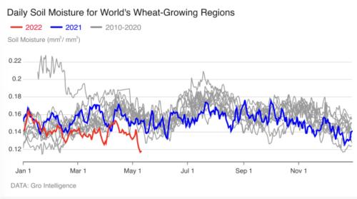 小麦库存只够十周！全球粮食危机逼近，俄罗斯拒当“背锅侠”