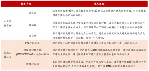 稀缺的百亿市场！“鼠茅”与“猴茅”的战斗，谁是未来的10倍长牛？