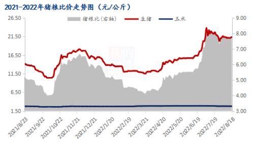 Mysteel解读：猪价高位震荡 养户持续回血