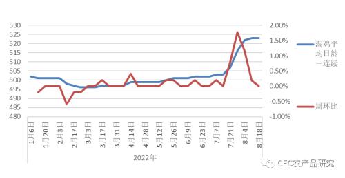 【鸡蛋周报】短期修复难改蛋品弱势运行