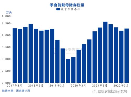 【点石成金】生猪：盘面提前反应旺季预期，关注需求边际好转力度