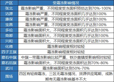 忽如一夜霜冻来 千亩万亩薯受灾