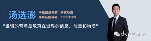 【建投观察】玉米减产担忧：从内到外