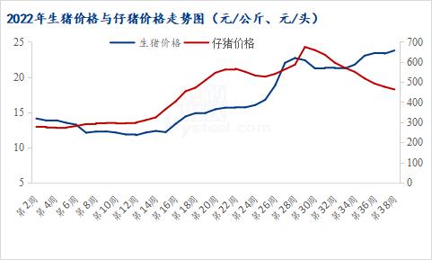 冰火两重天 生猪涨仔猪跌