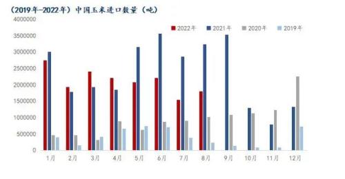 Mysteel解读：8月我国粮食进口现状及玉米替代进口分析