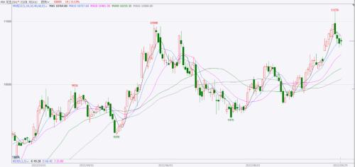 美指屡创新高全球经济承压 大宗商品走势分化金融期货偏空系列分析之饲料养殖和油脂油料篇