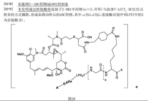 ARX788被放弃，HER2 ADC多米诺骨牌又倒下一张