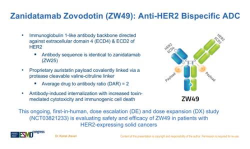 ARX788被放弃，HER2 ADC多米诺骨牌又倒下一张