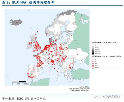 欧洲史上最大规模禽流感，对我国有何影响？
