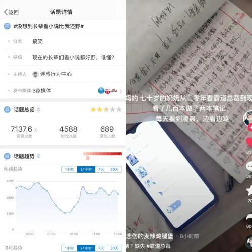 我,82岁,看网文忘乎所以