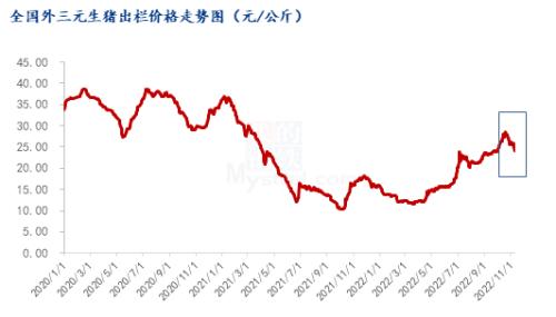 猪价高位持续回落，多地回到国庆前