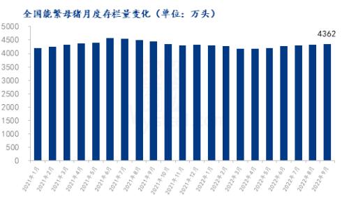 猪价高位持续回落，多地回到国庆前
