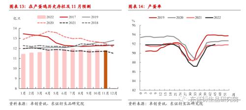 【月度报告——鸡蛋】现价高位震荡，主力依旧承压