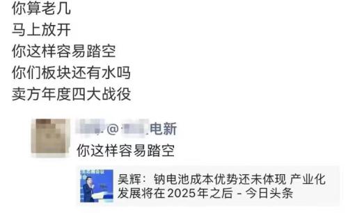 钠电池被“爆吹”后，专家打脸：要向分析师订购几亿支用用