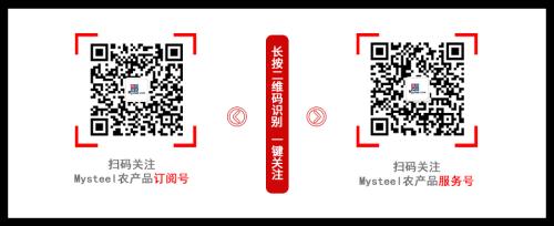 Mysteel解读：USDA12月供需报告前瞻