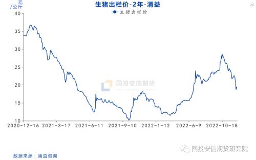 【点石成金】猪价跌跌不休，后市走势如何？