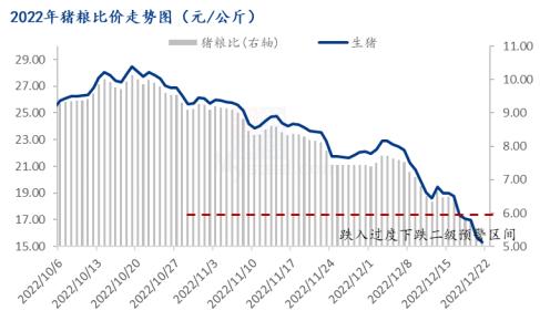 猪市预警再起，行业利润大幅缩水