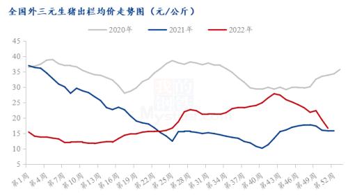 今年猪市即将收尾 2023年将以涨势开局？