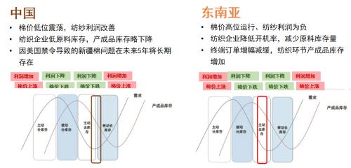 【棉花年报】震荡筑底、波动加剧