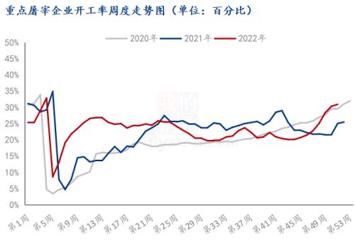 Mysteel解读：年终岁末 猪价开启上涨模式？