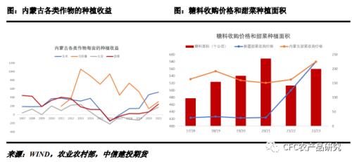 【白糖年报】乘风破浪会有时-写给2023