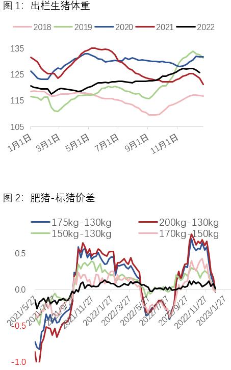 生猪：洪峰过境