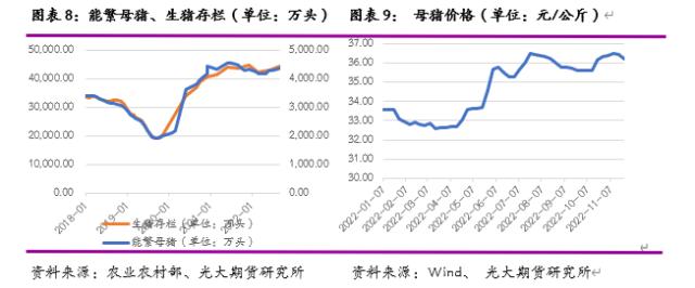 光期研究2023年度策略之生猪：供应压力不减，养殖进入低利润周期