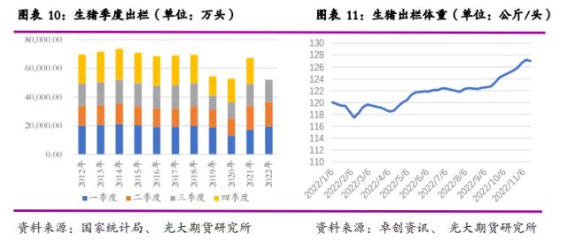 光期研究2023年度策略之生猪：供应压力不减，养殖进入低利润周期