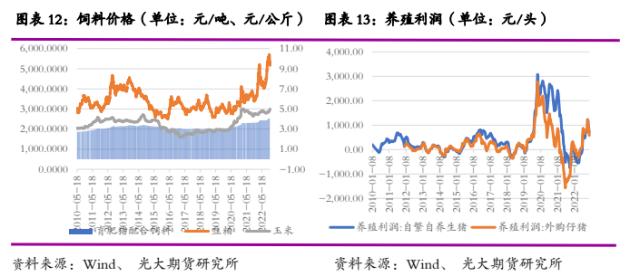 光期研究2023年度策略之生猪：供应压力不减，养殖进入低利润周期