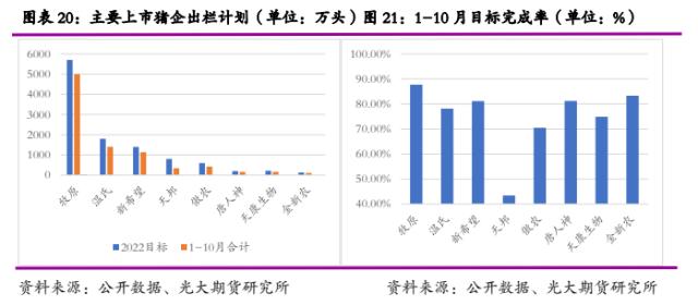 光期研究2023年度策略之生猪：供应压力不减，养殖进入低利润周期