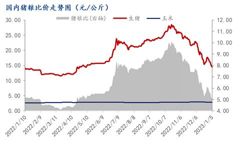 Mysteel解读：1月份生猪收储可能性分析