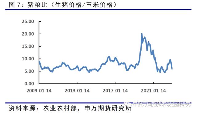 申万期货_商品专题_农产品：疫情高峰逐步过去 生猪存在反弹空间