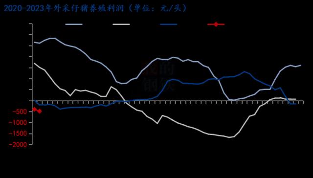 2022年生猪市场回顾与2023年展望