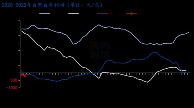 Mysteel解读：年关将至，猪价涨跌频繁，究竟几何