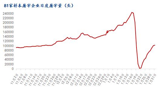 Mysteel解读：2023年生猪市场行情或“喜>忧”