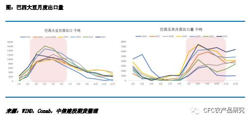 【糖史演义】原糖近远合约走势分化 谨防巴西港口运力挤兑