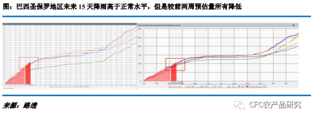 【糖史演义】原糖紧张贸易流延续 国内减产背景下惜售心理涌现