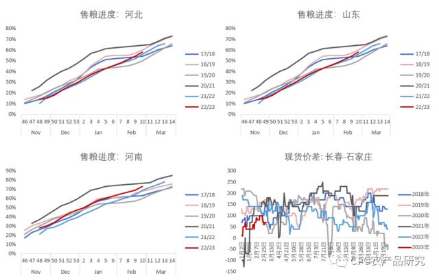 【建投观察】米强而粉弱，玉米链呈分化行情