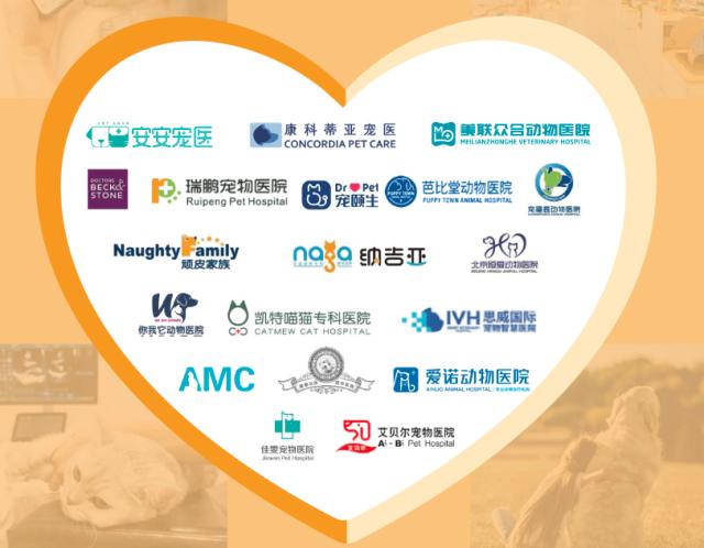 全国最大宠物连锁医院,IPO悬了