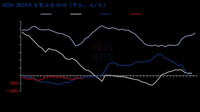 Mysteel解读：生猪价格底部“拉扯” 何时熬到“出头”之日