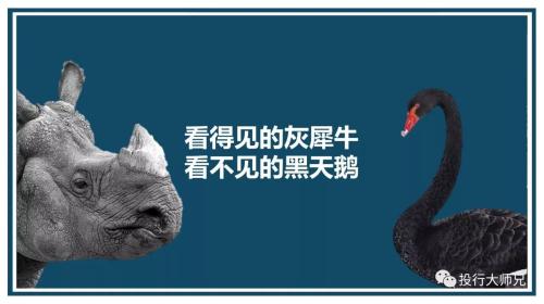 投行大师兄:看得见的灰犀牛 看不见的黑天鹅